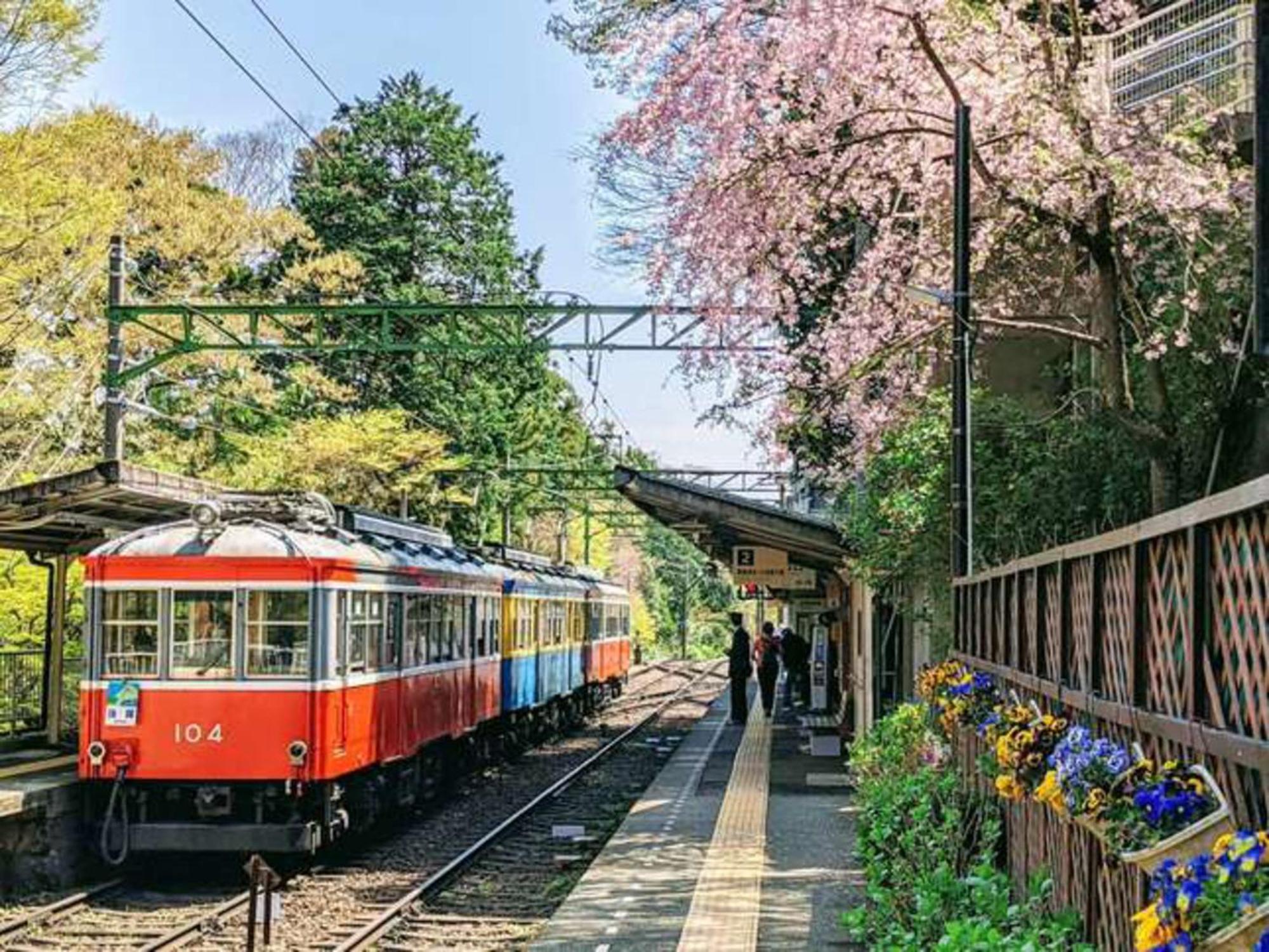 Hotel Morinokaze Hakone Sengokuhara 外观 照片