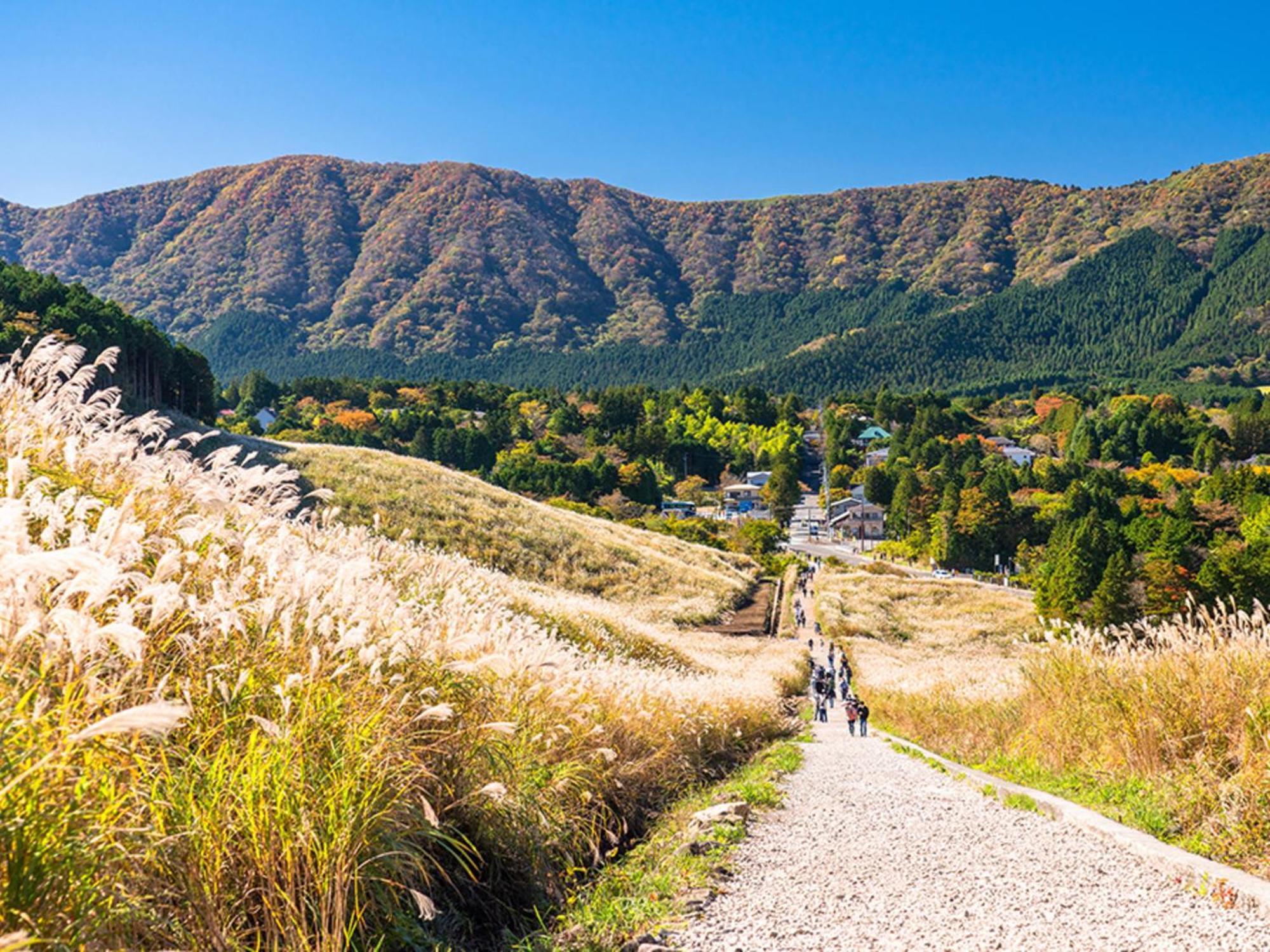 Hotel Morinokaze Hakone Sengokuhara 外观 照片